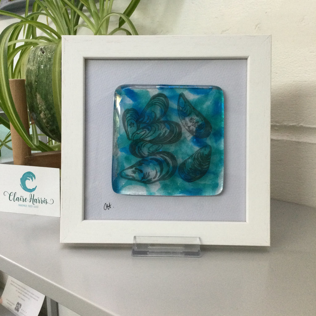 Fused Glass Framed Group of Mussel Shells