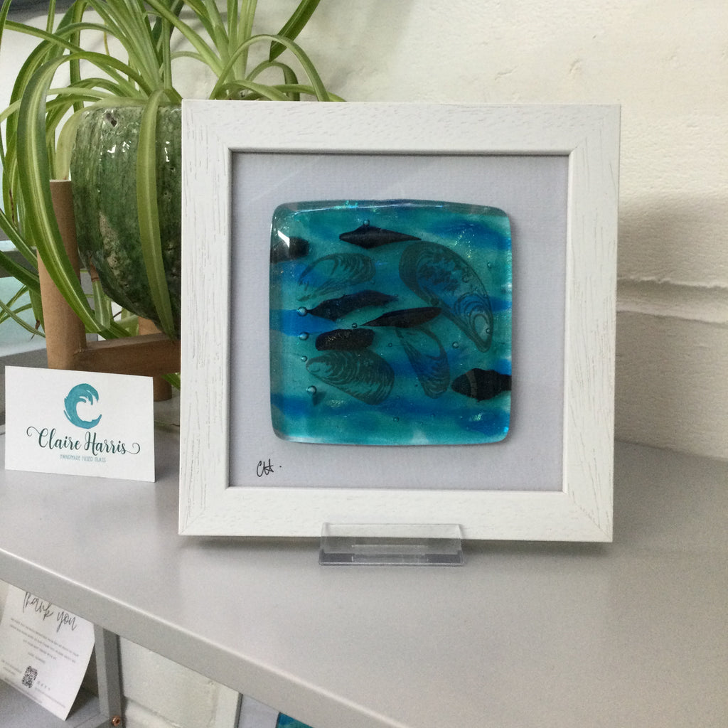 Fused Glass Framed 4 Mussel Shells