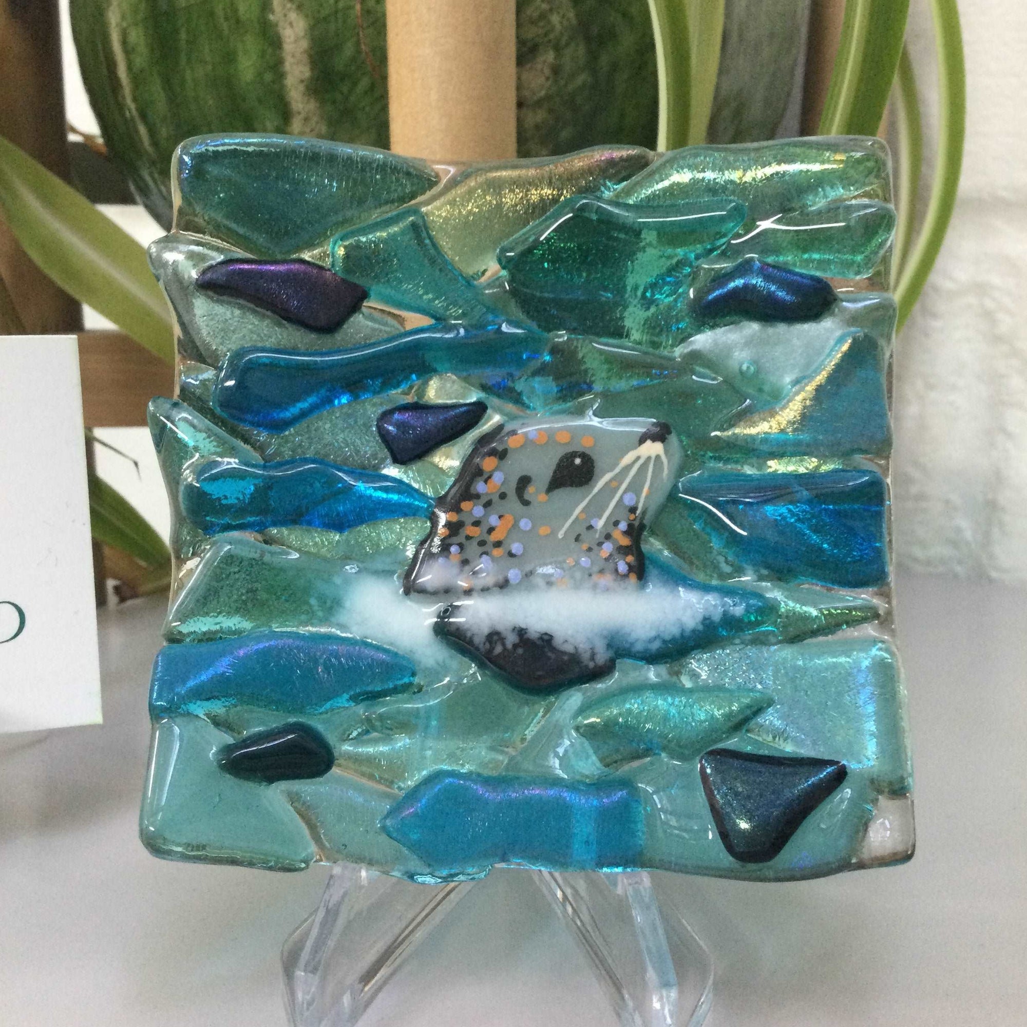 Seal Trinket Dish - Side Facing Seal - Fused Glass By Claire Harris 