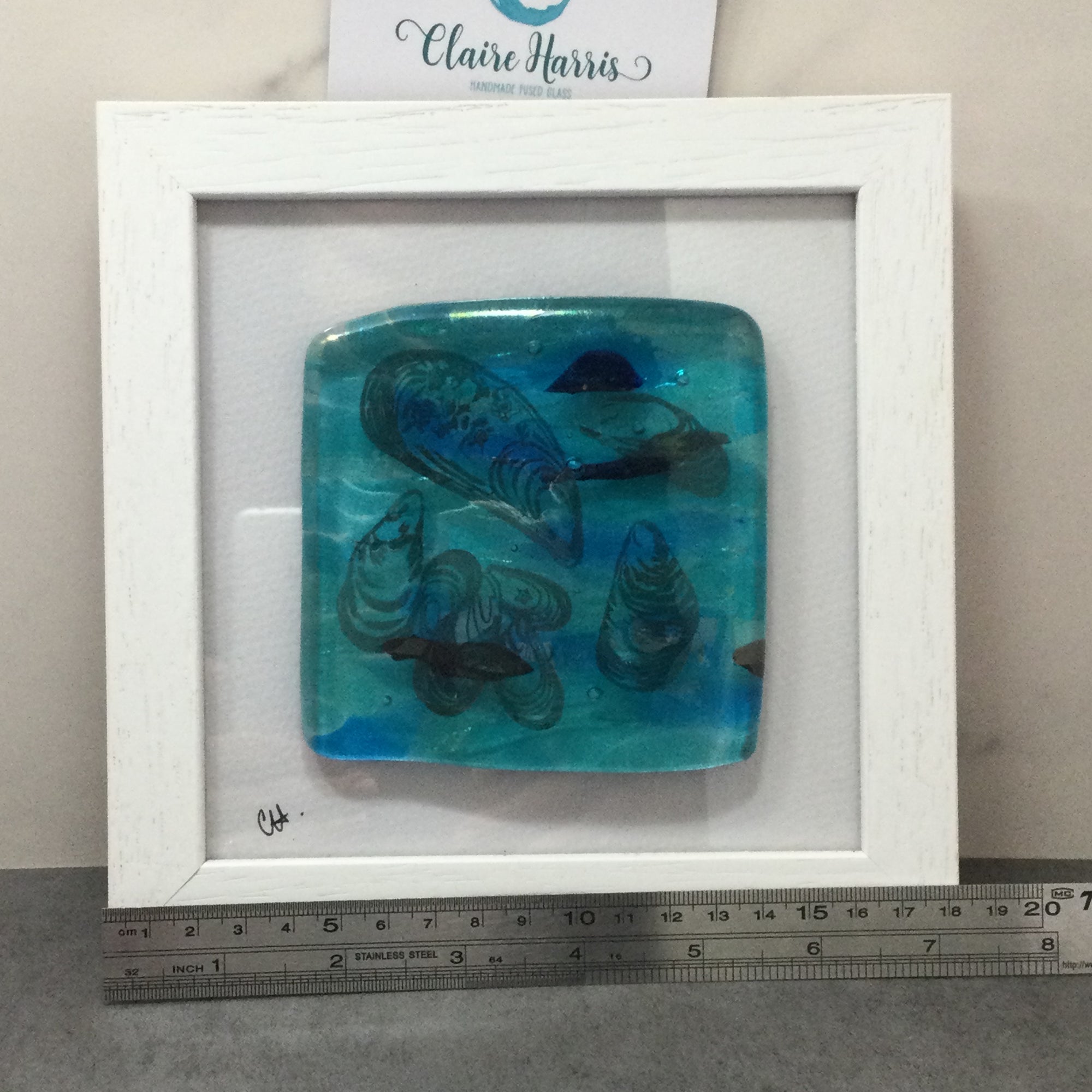 Fused Glass Framed Group of Mussel Shells