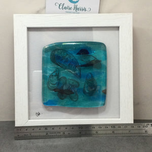 Fused Glass Framed Group of Mussel Shells
