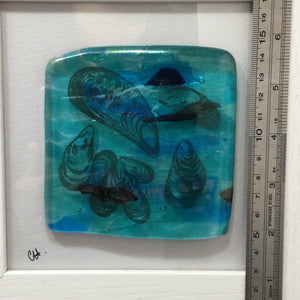 Fused Glass Framed Group of Mussel Shells