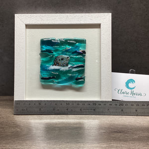 Square Framed Fused Glass Seal Side Facing