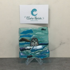 Seal Trinket Dish - Front Facing Seal