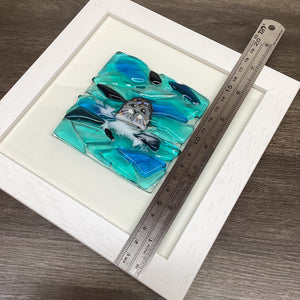 Square Framed Fused Glass Seal front Facing