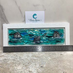 Limited Edition Framed Seals, rectangle framed fused glass