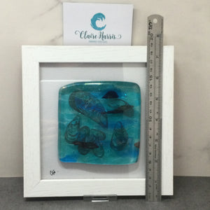 Fused Glass Framed Group of Mussel Shells