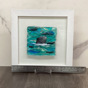 Square Framed Fused Glass Seal Side Facing, handmade fused glass by Claire Harris in Cornwall, view 4