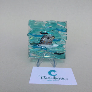 Seal Trinket Dish - Side Facing Seal