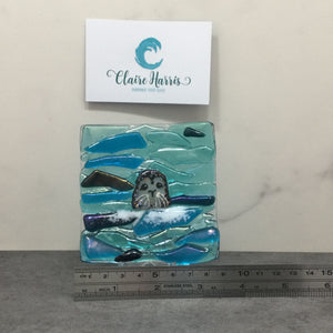 Seal Trinket Dish - Front Facing Seal