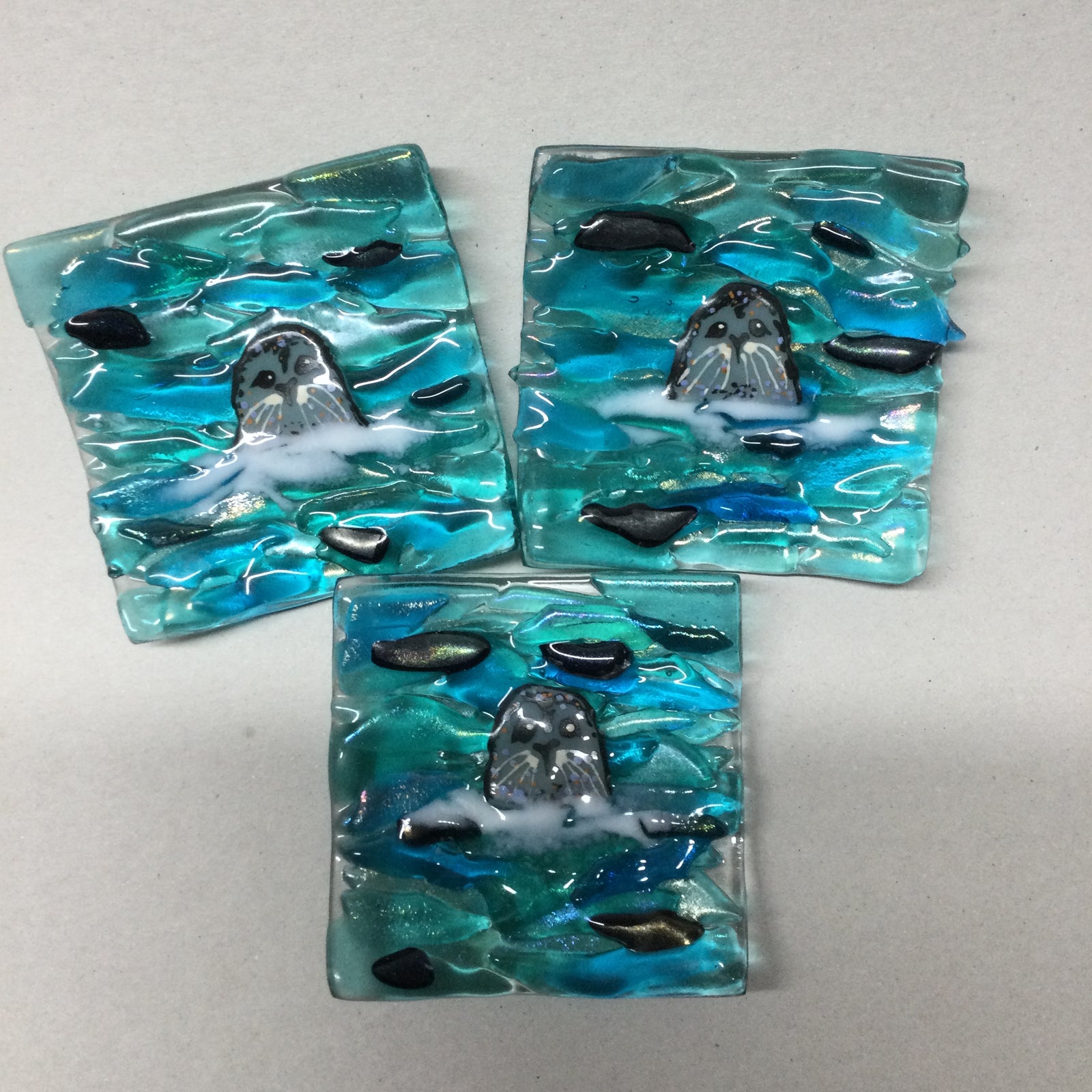 Seal Trinket Dish - Front Facing Seal, handmade fused glass by Claire Harris in Cornwall