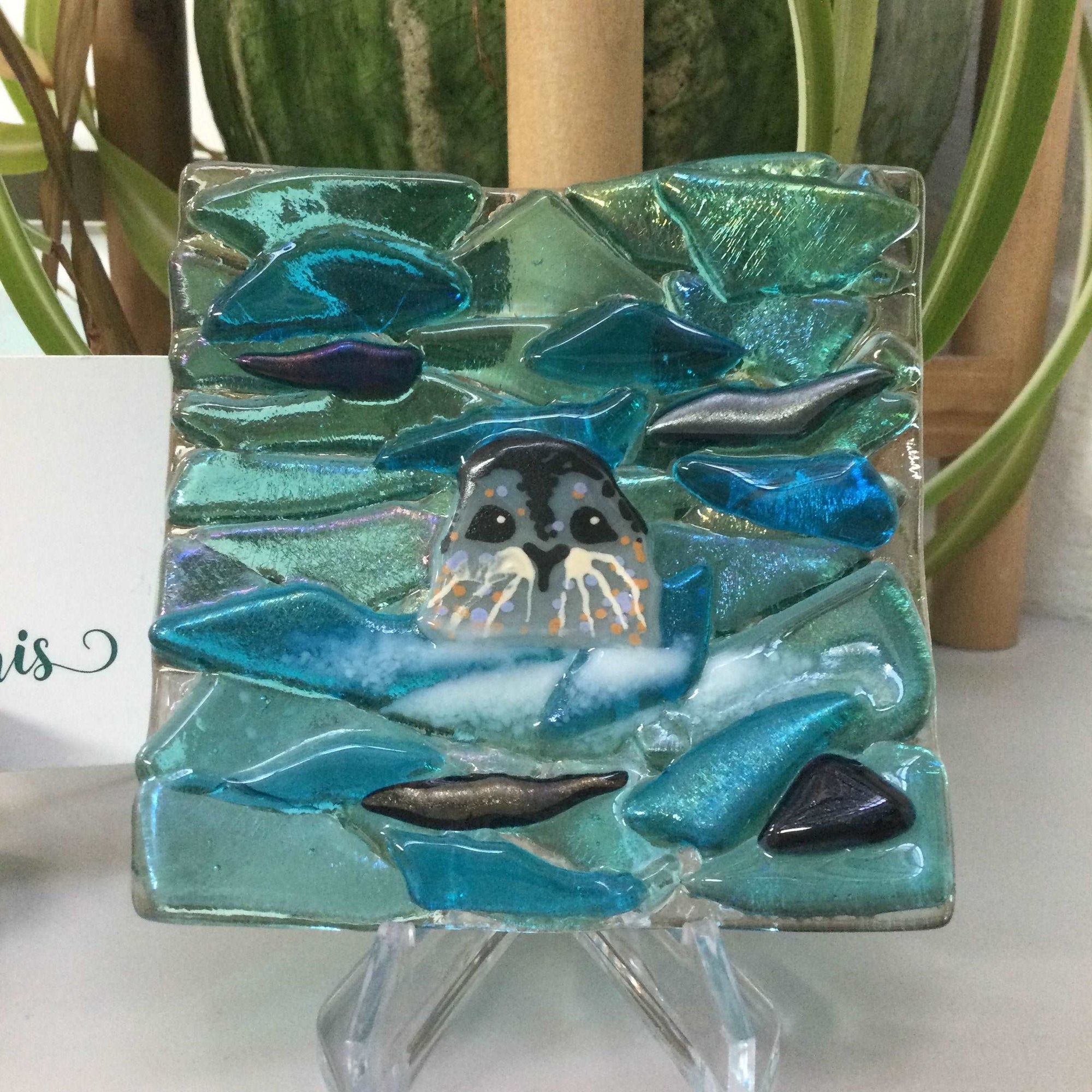 Seal Trinket Dish - Front Facing Seal - Fused Glass By Claire Harris 