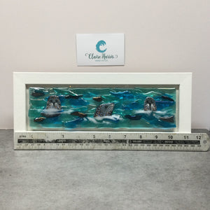 Limited Edition Framed Seals, rectangle framed fused glass