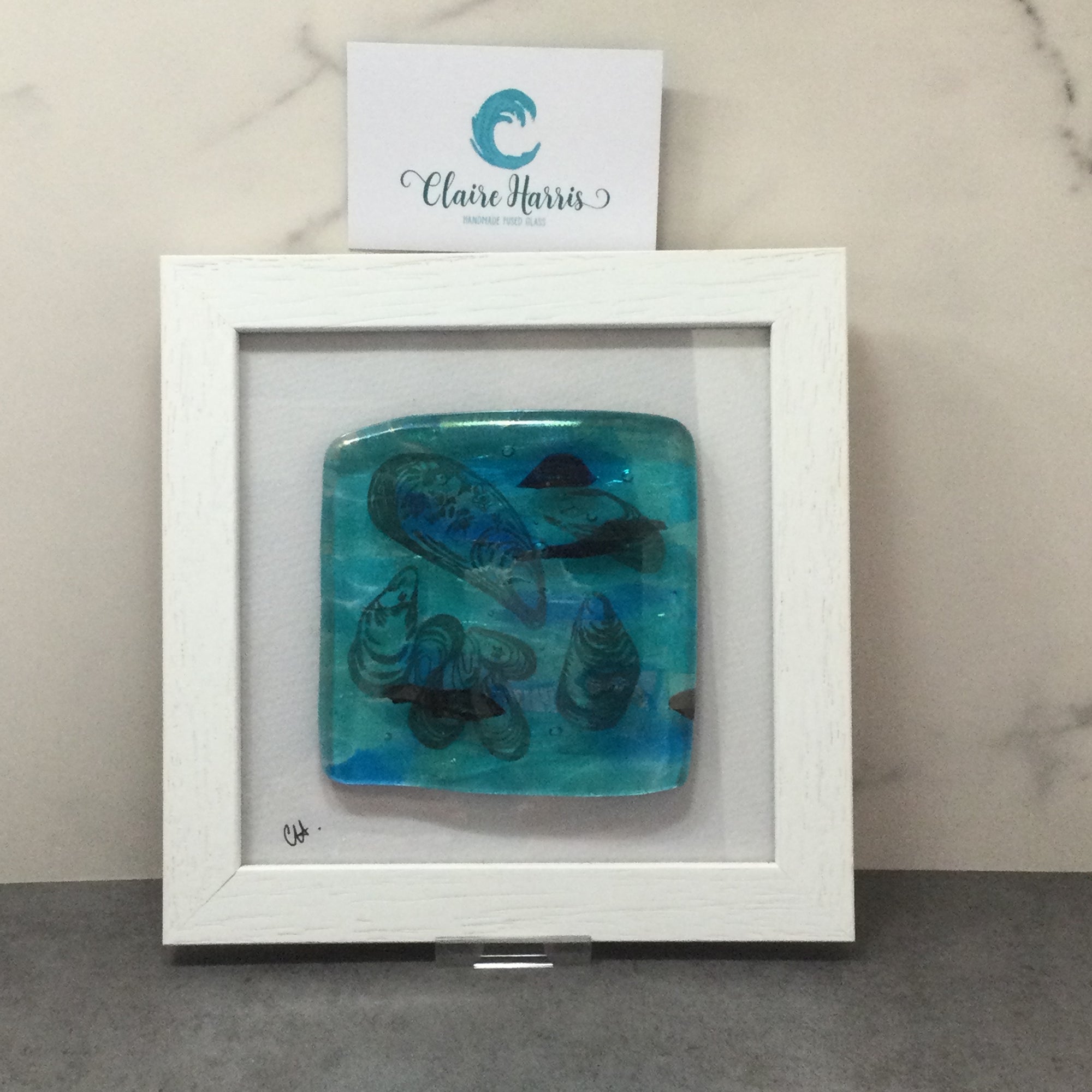 Fused Glass Framed Group of Mussel Shells