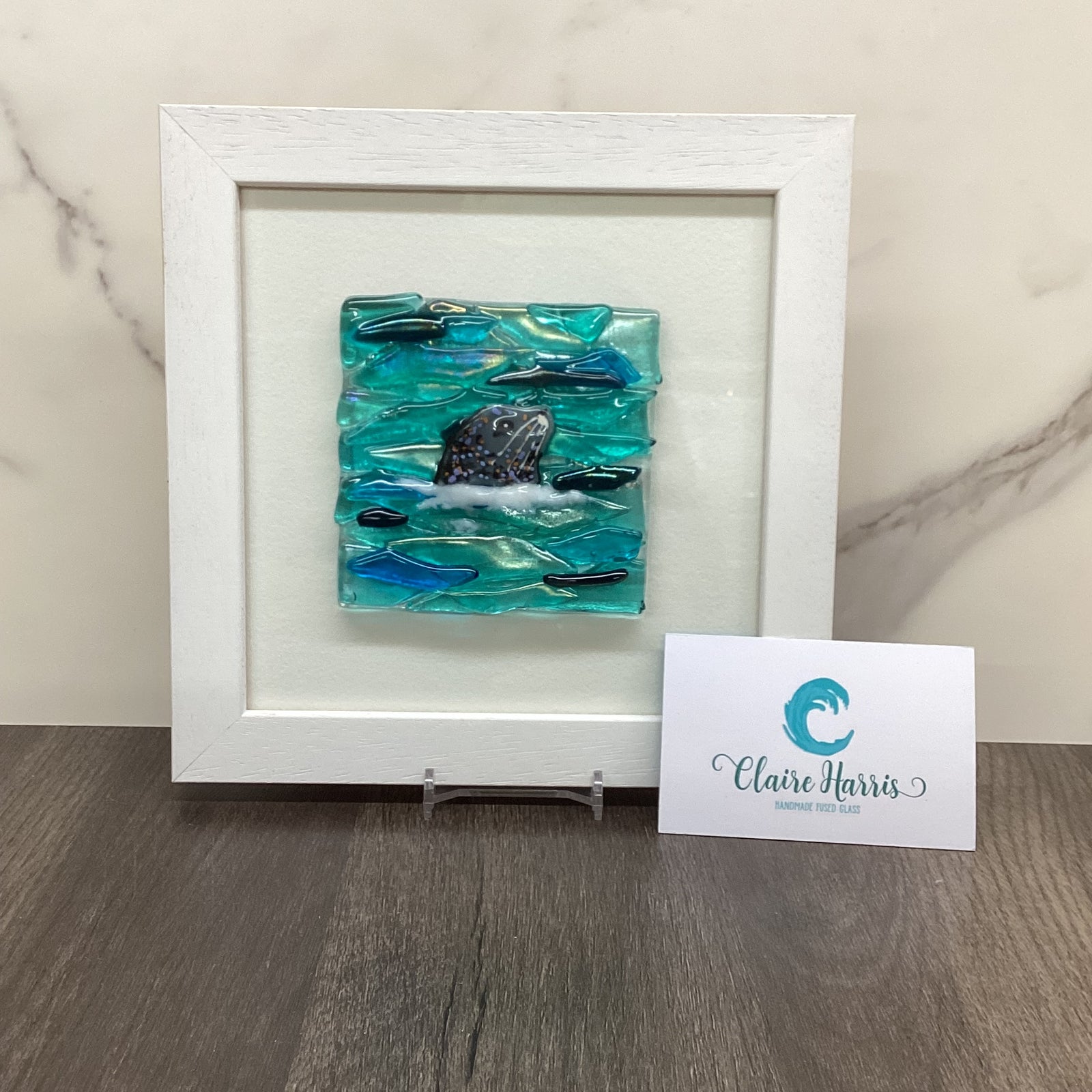 Square Framed Fused Glass Seal Side Facing, handmade fused glass by Claire Harris in Cornwall