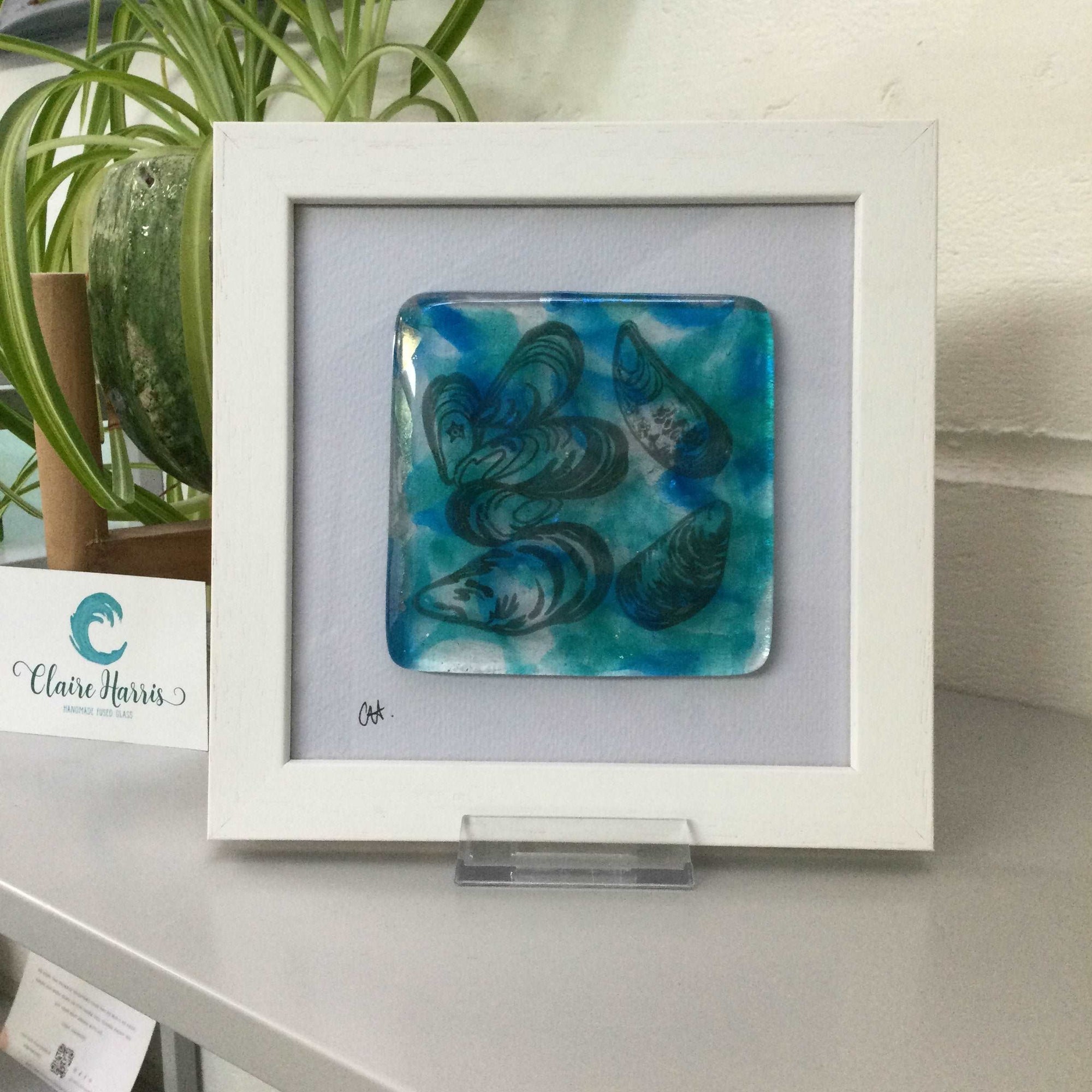 Fused Glass Framed Group of Mussel Shells - Fused Glass By Claire Harris 