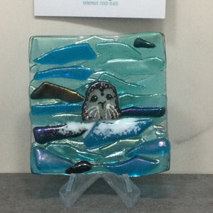 Seal Trinket Dish - Front Facing Seal