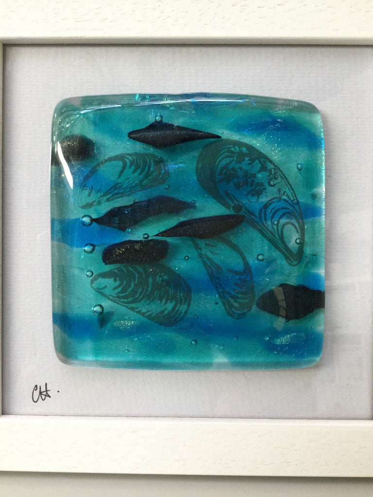 Fused Glass Framed 4 Mussel Shells