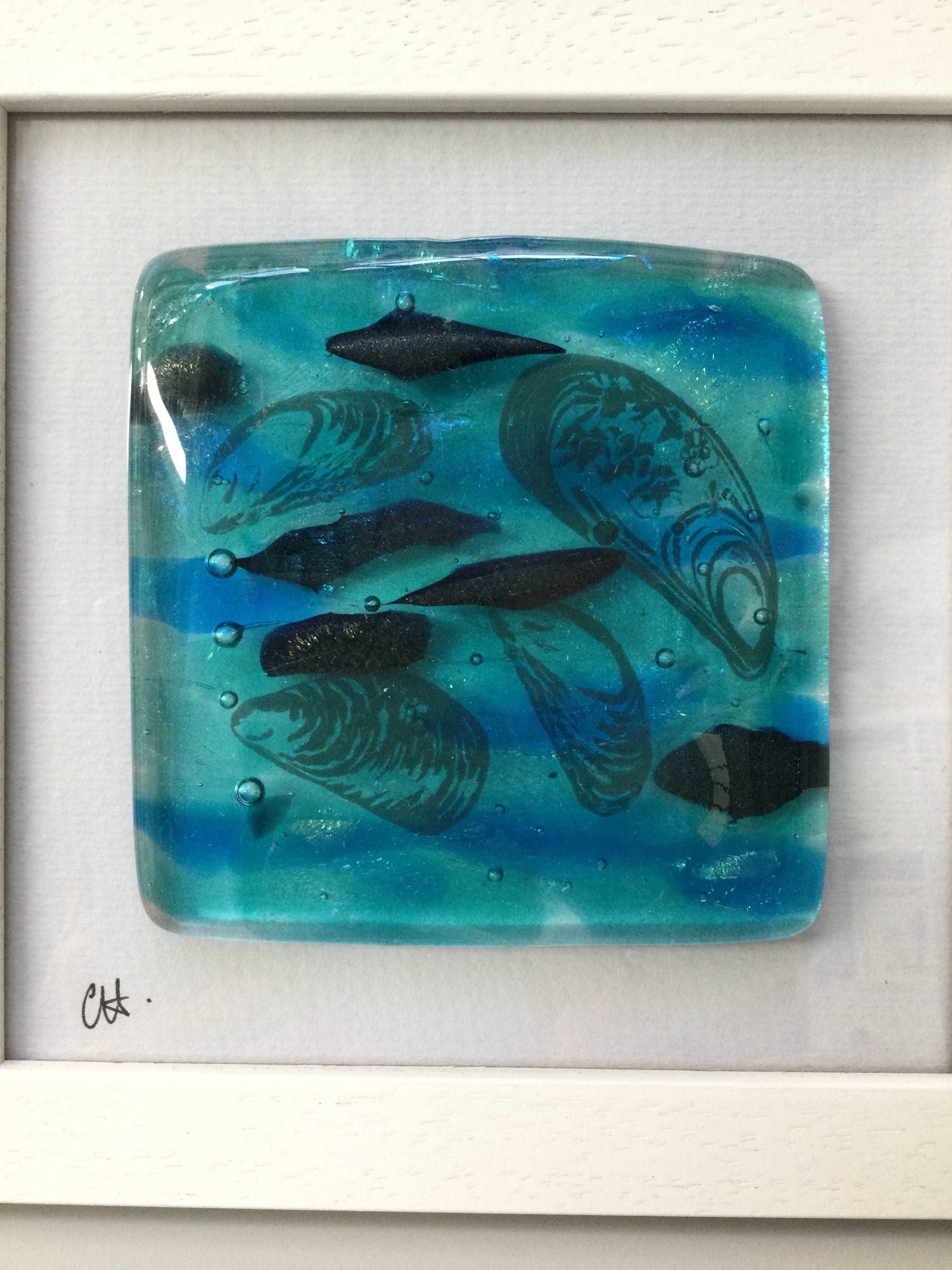 Fused Glass Framed 4 Mussel Shells - Fused Glass By Claire Harris 