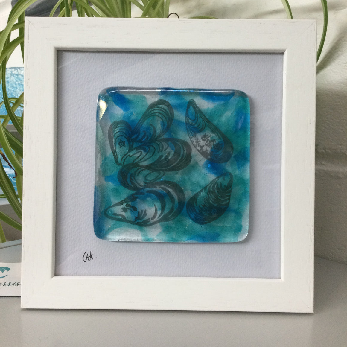 Fused Glass Framed Group of Mussel Shells