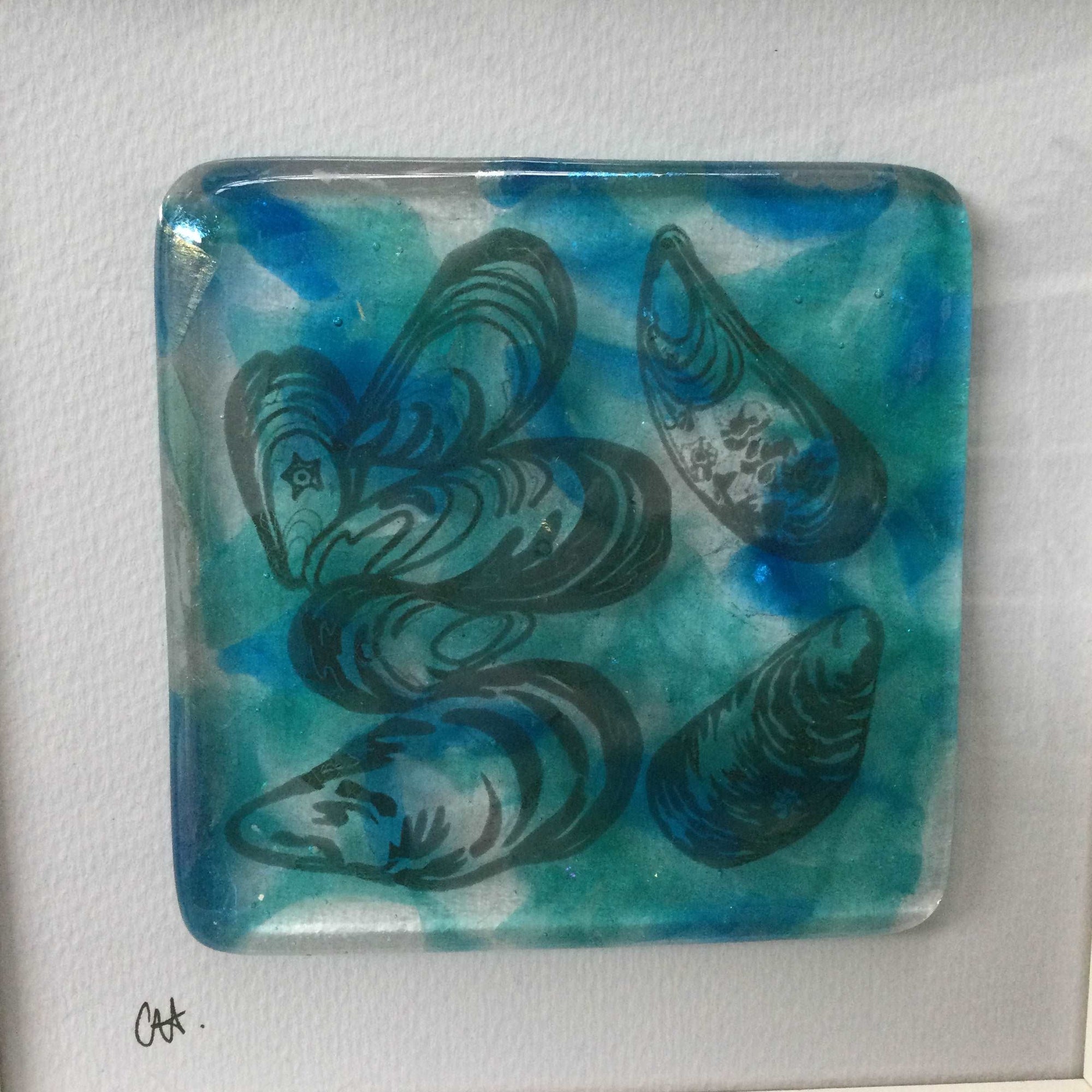 Fused Glass Framed Group of Mussel Shells - Fused Glass By Claire Harris 